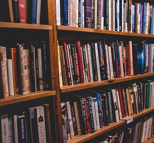 Bright Leaf Publishers book cover